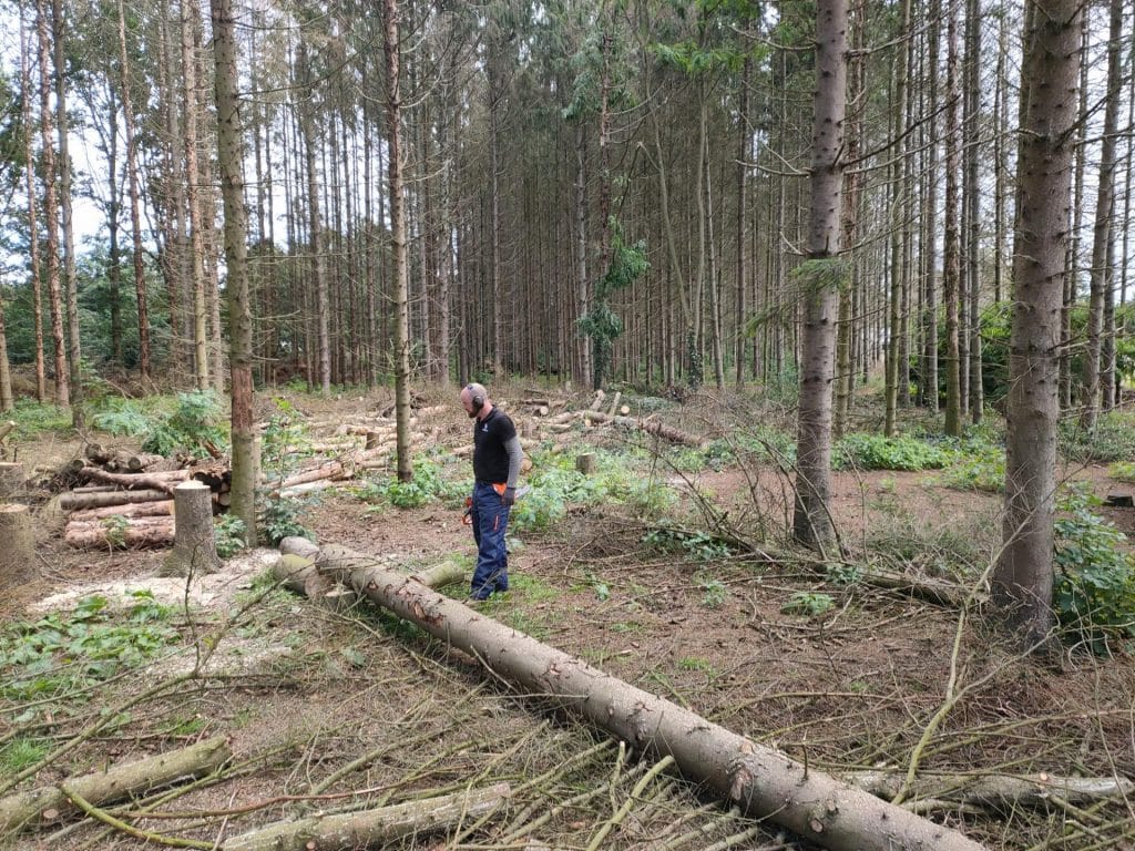 Ziek bos kappen de Kiel, tuinaanleg en boomverzorging